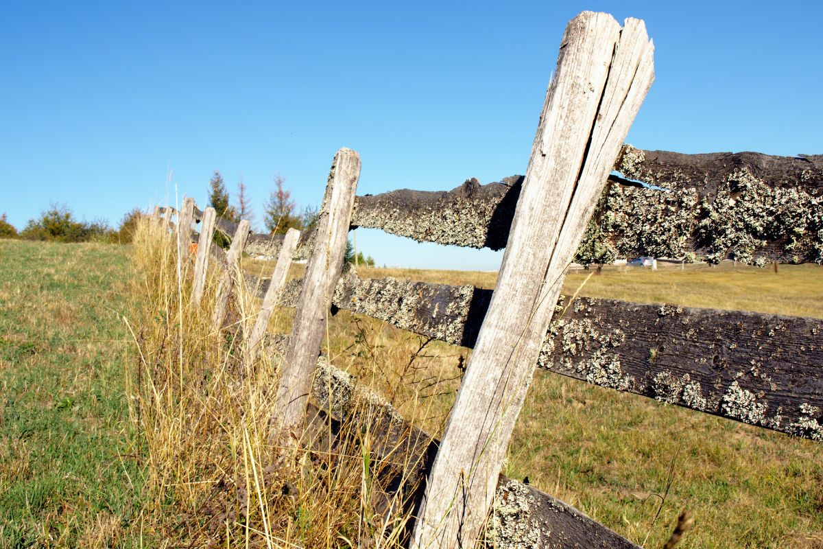 How to fix your falling fence (1)