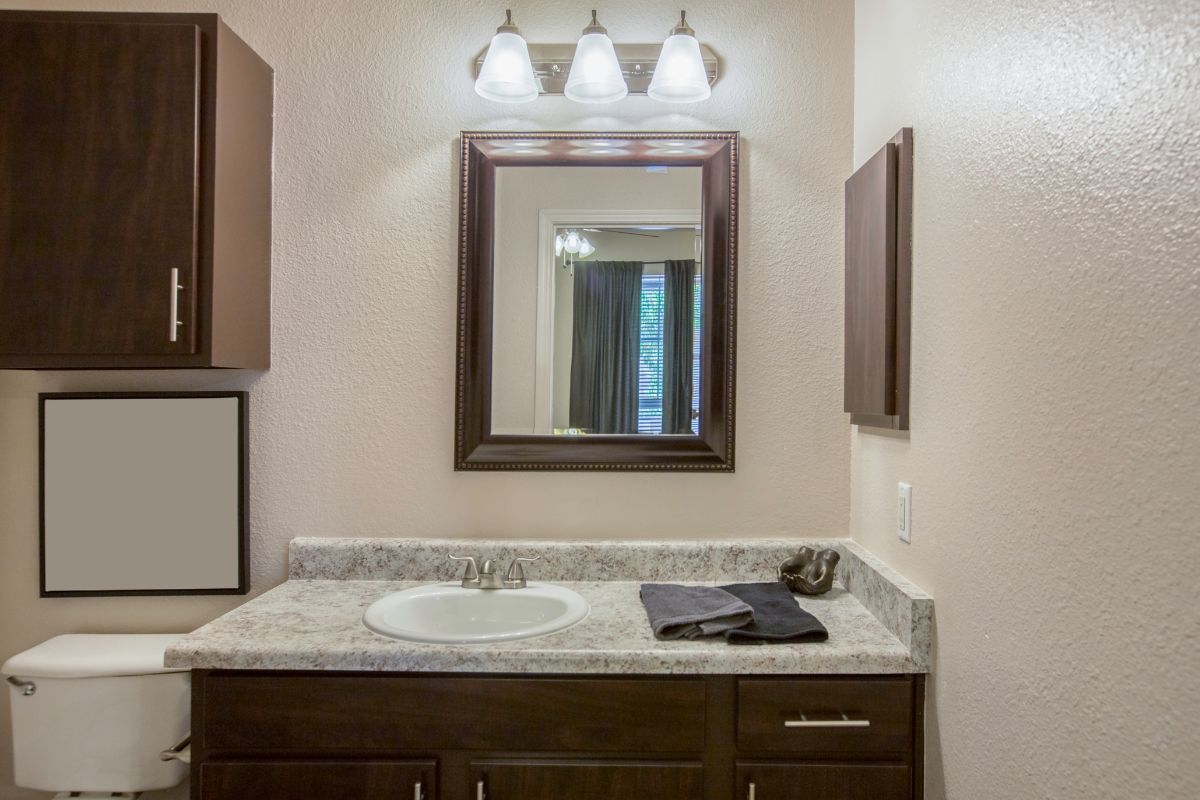 15 Bathroom Mirror Ideas For Your Perfect Home 