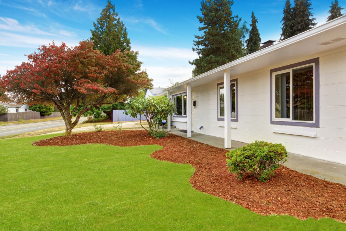 19 Tips To Give Your Front Yard Mid-Century Modern Curb Appeal