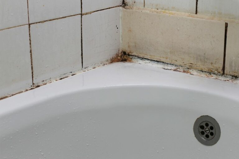 How To Remove Mold From Shower Caulking - Style Squeeze