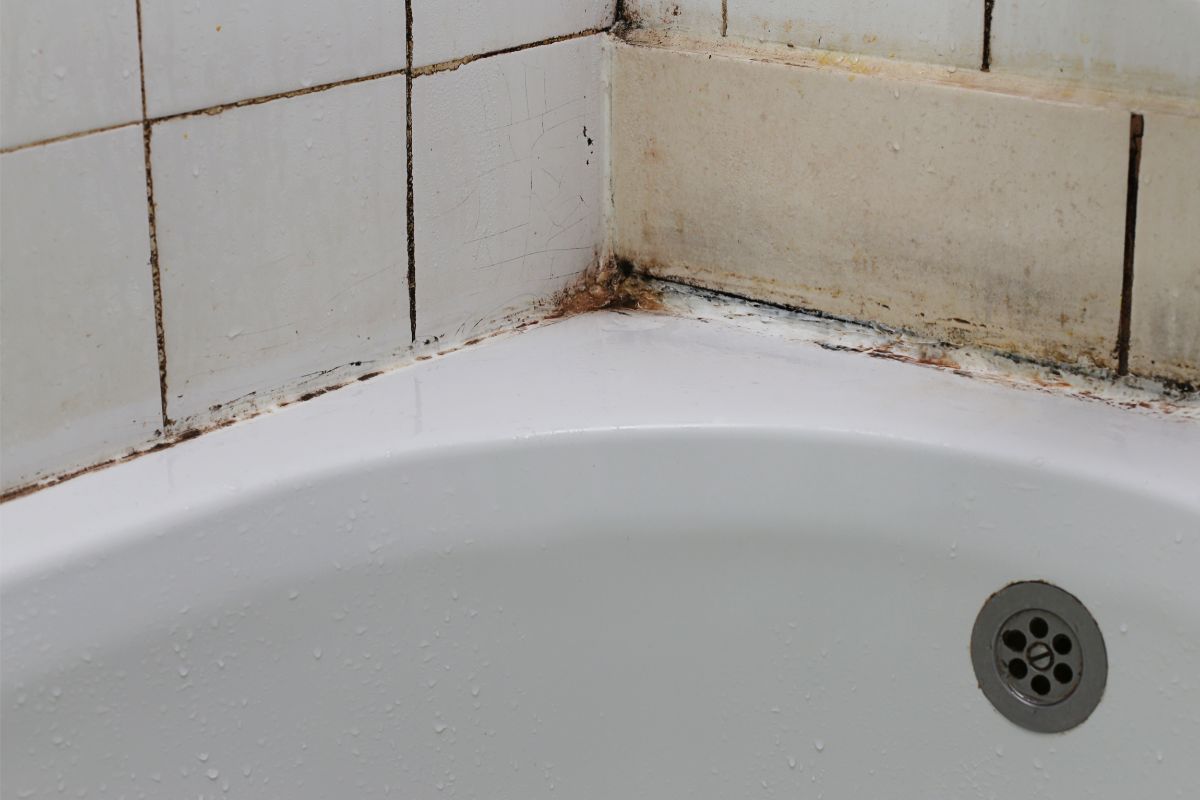 mold under caulk in shower        
        <figure class=