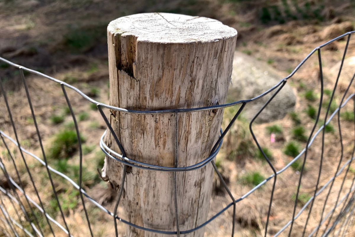 How To Save Time & Money By Installing A Fence Post Without Concrete