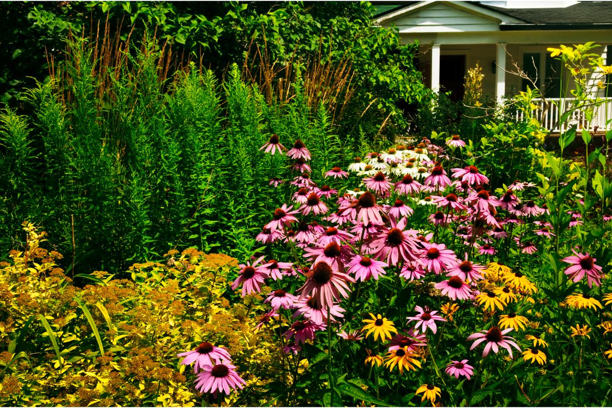 How to Create a Plant-Filled Landscape Berm To Your Garden (3)