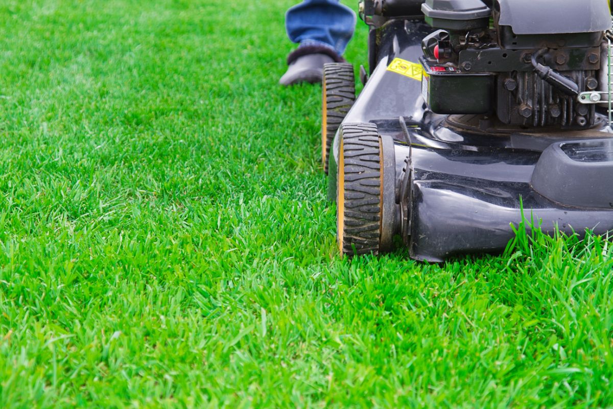 Mowing The Grass