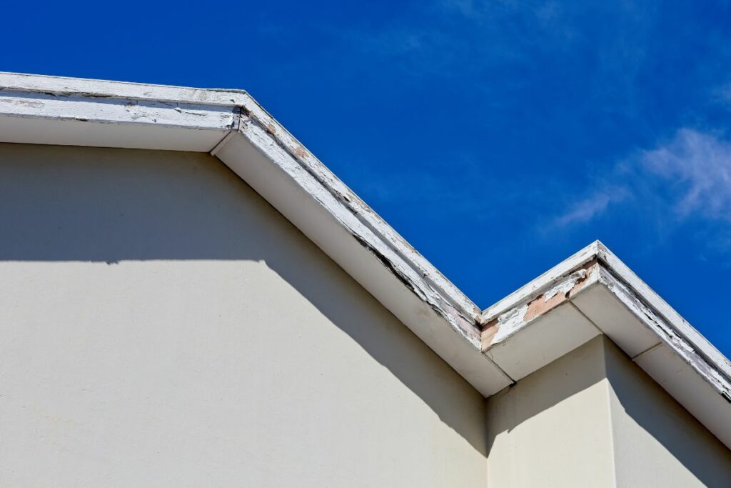 What To Do When Your Fascia Boards Are Rotted